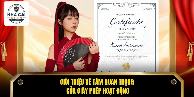 Giới thiệu về tầm quan trọng của giấy phép hoạt động