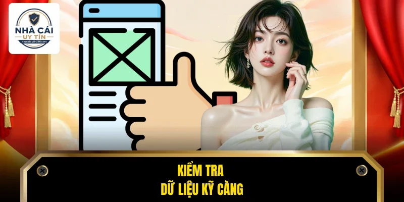 Kiểm tra dữ liệu kỹ càng
